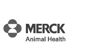 Takayuki - Osu Private Server